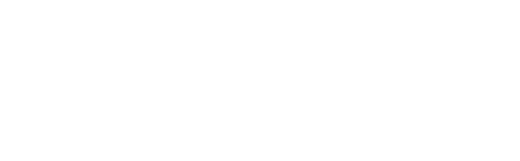 Zebra logo